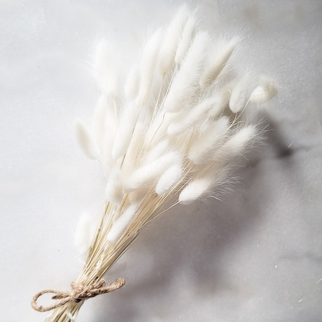 Bunnytails - White