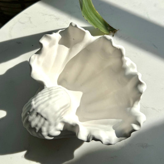 Ariel Seashell Dish