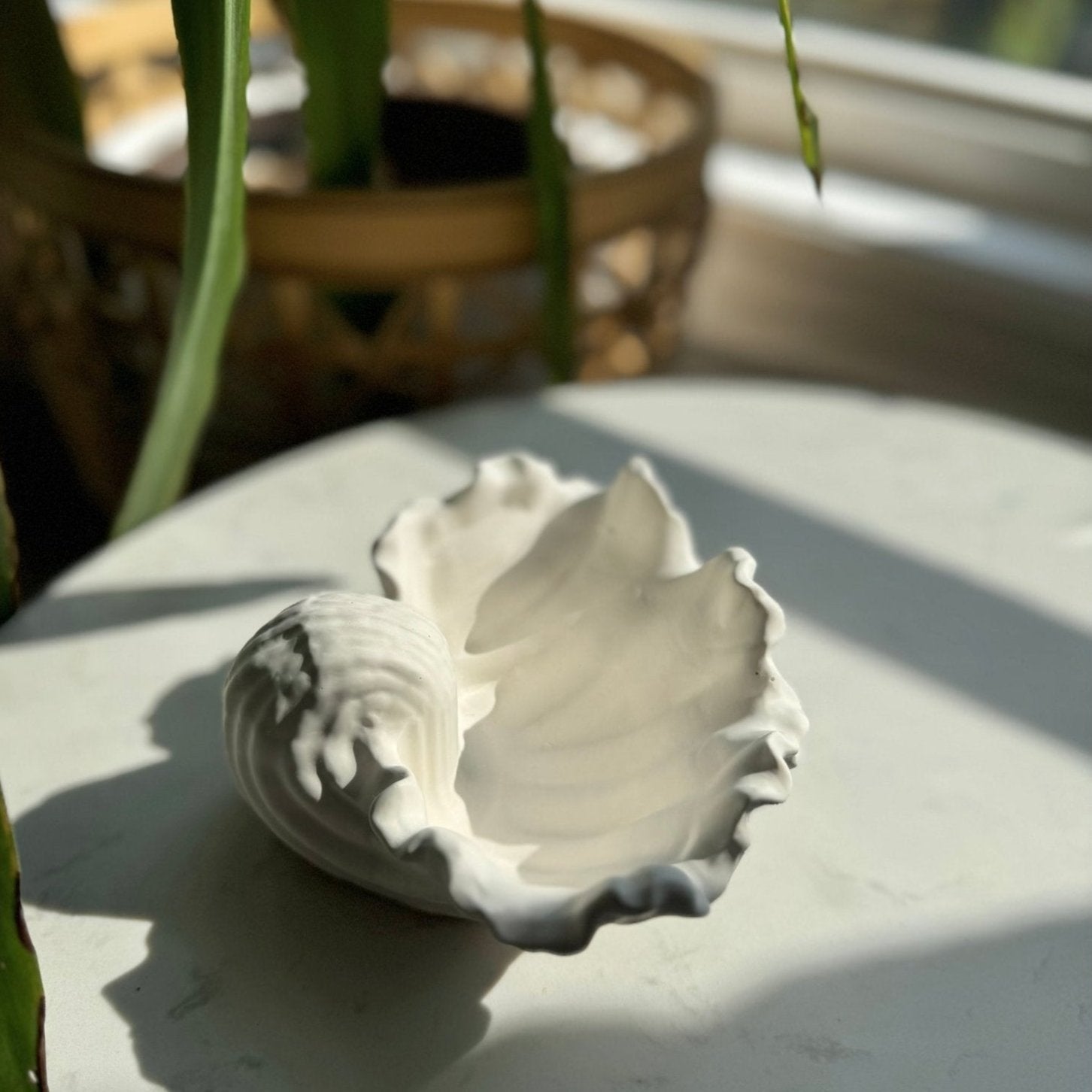 Ariel Seashell Dish