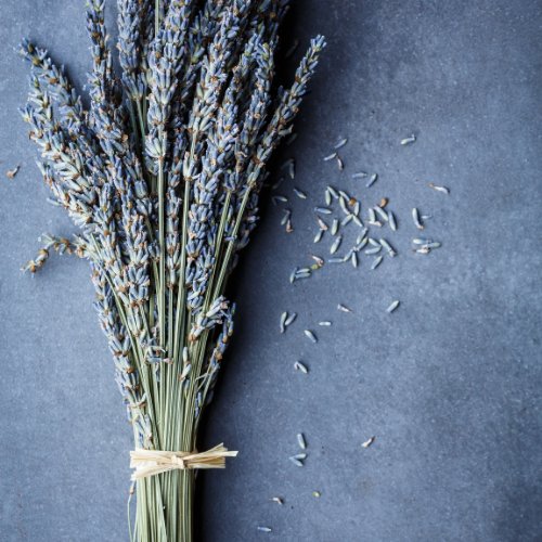 Dried Purple Lavender Bouquet