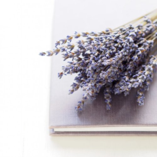 Dried Purple Lavender Bouquet