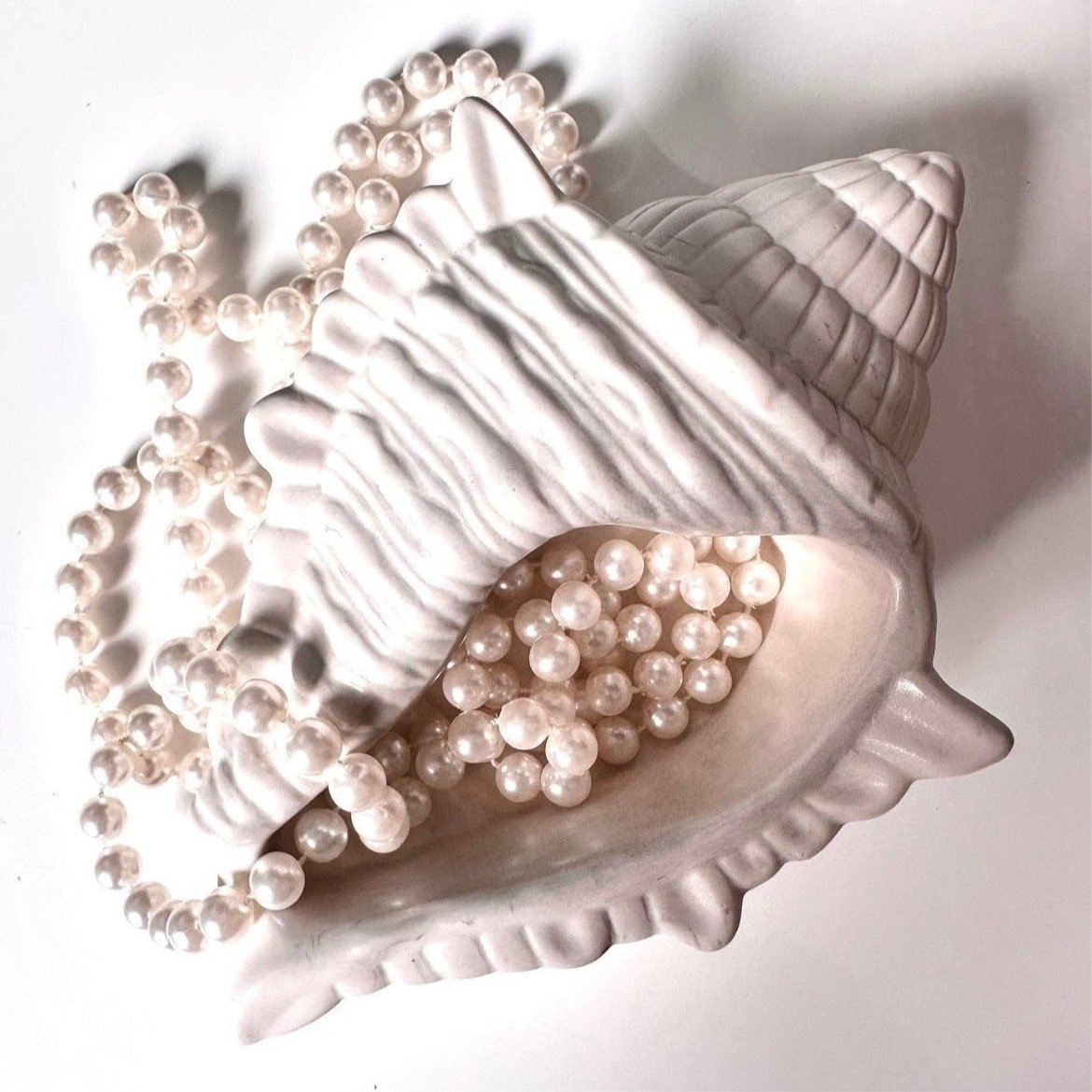 Iridescence Sea Shell Trinket Dish