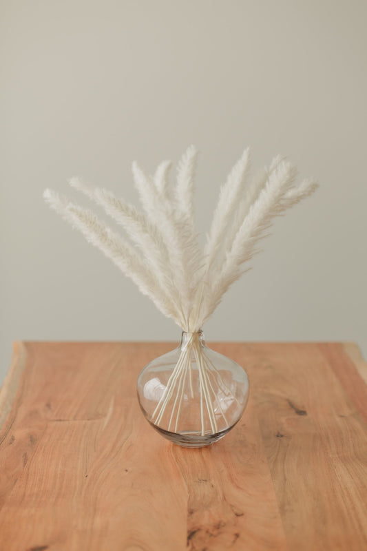 Mini Pampas - Chic Chaos Home