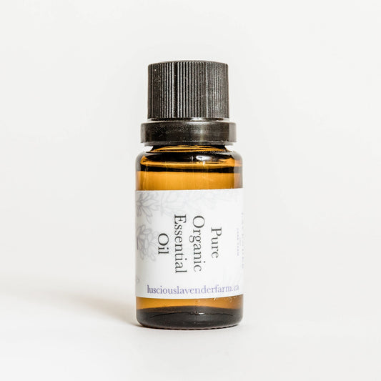 Organic Lavender Essential Oil