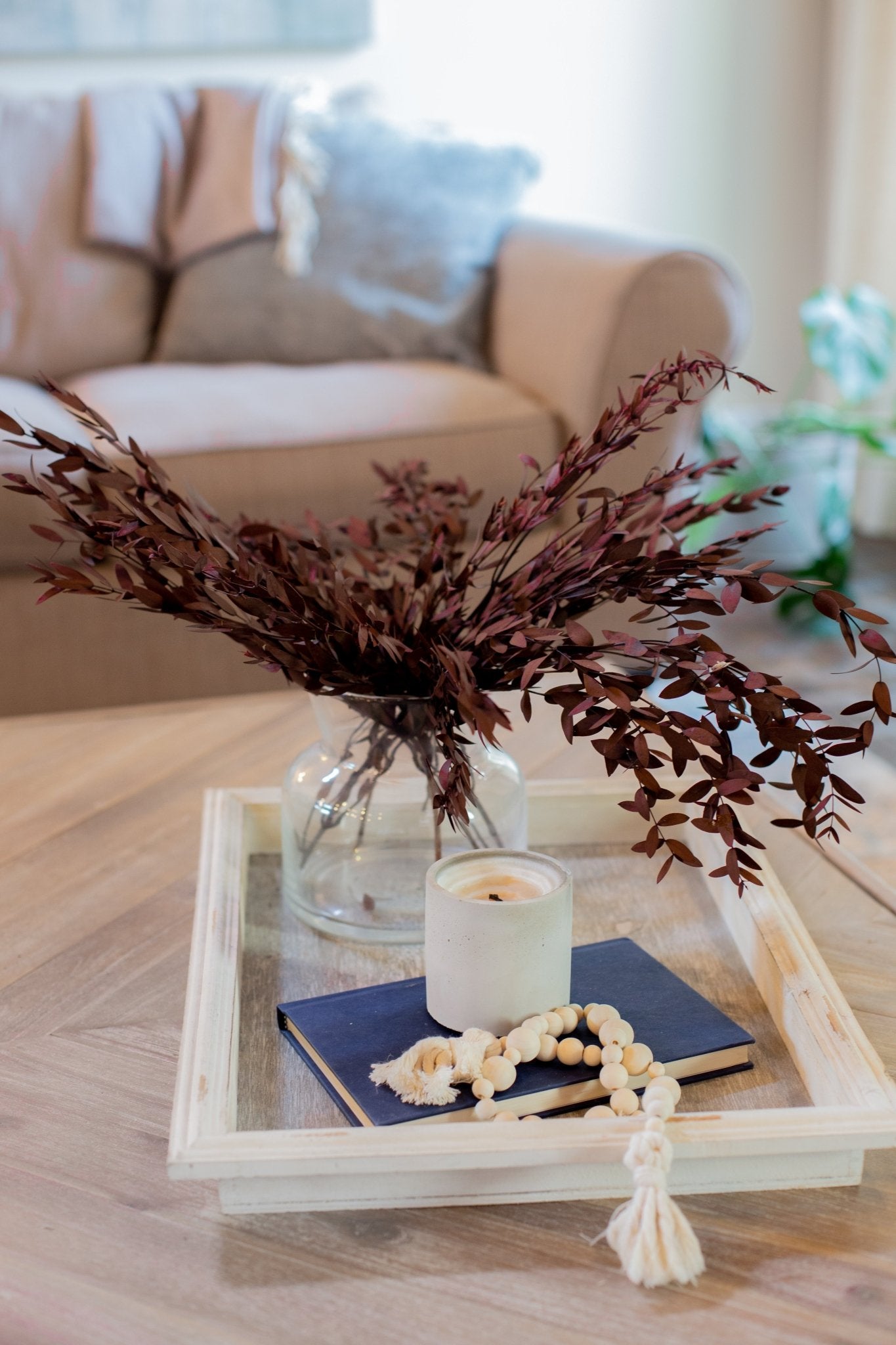 Preserved Short Willow Eucalyptus (Parvifolia) - Chic Chaos Home