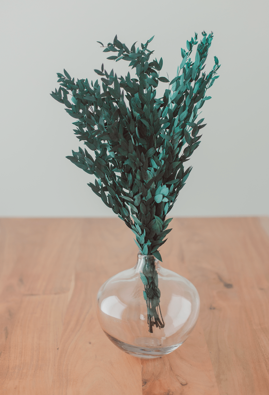 Preserved Short Willow Eucalyptus (Parvifolia) - Chic Chaos Home