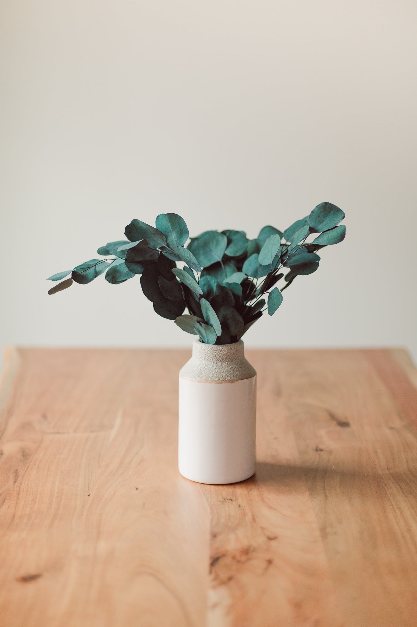 Preserved Silver Dollar Eucalyptus Bundle - Chic Chaos Home
